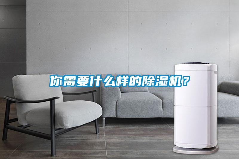 你需要什么樣的除濕機？