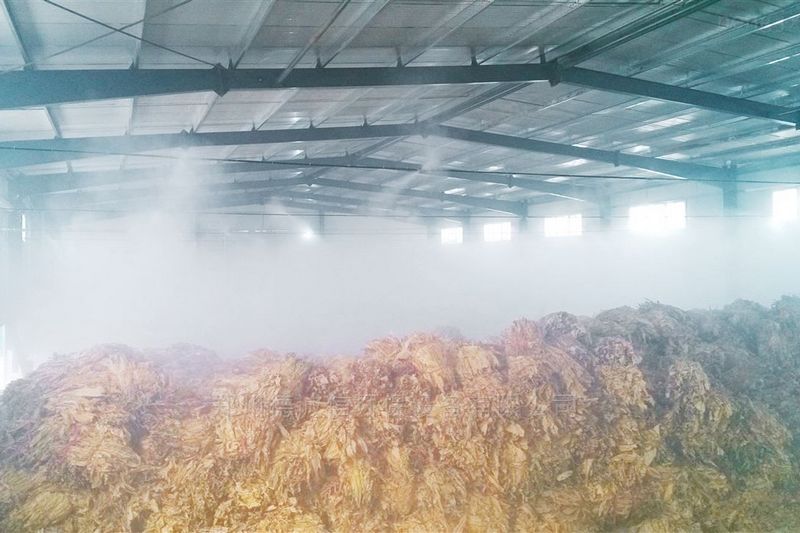 提升煙葉加工質(zhì)量，高效回潮很重要