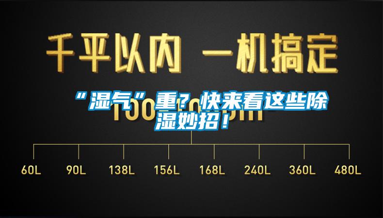 “濕氣”重？快來(lái)看這些除濕妙招！