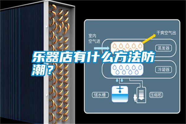 樂(lè )器店有什么方法防潮？