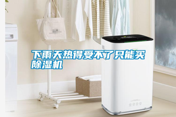 下雨天熱得受不了只能買(mǎi)除濕機