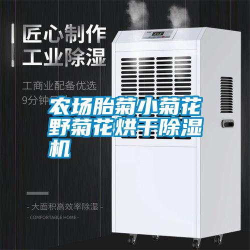 農場(chǎng)胎菊小菊花野菊花烘干除濕機