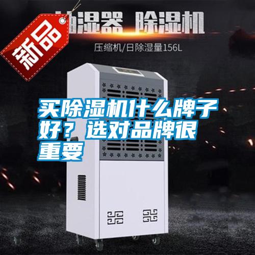 買(mǎi)除濕機什么牌子好？選對品牌很重要