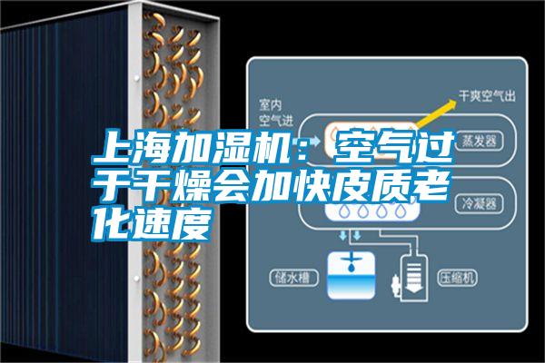 上海加濕機：空氣過(guò)于干燥會(huì )加快皮質(zhì)老化速度