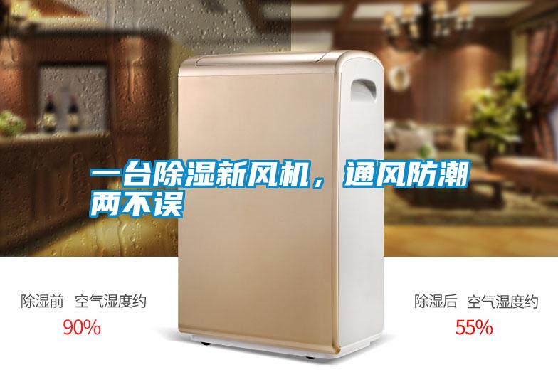 一臺除濕新風(fēng)機，通風(fēng)防潮兩不誤