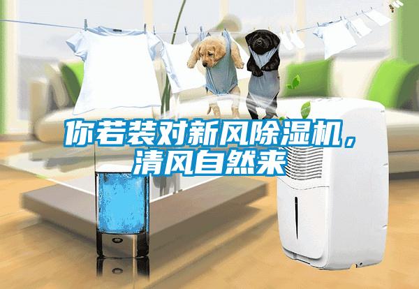你若裝對新風(fēng)除濕機，清風(fēng)自然來(lái)