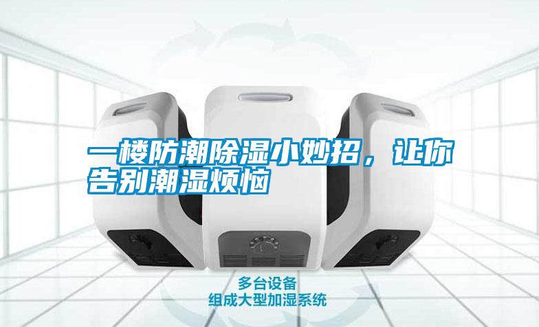 一樓防潮除濕小妙招，讓你告別潮濕煩惱