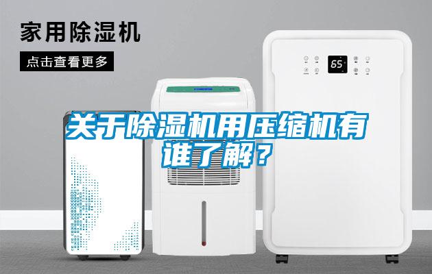 關(guān)于除濕機用壓縮機有誰(shuí)了解？