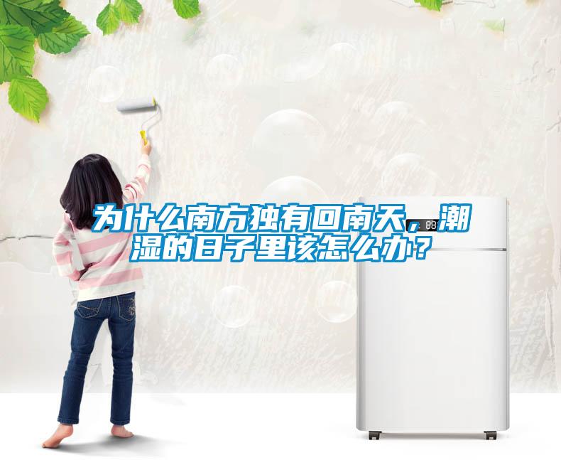 為什么南方獨有回南天，潮濕的日子里該怎么辦？