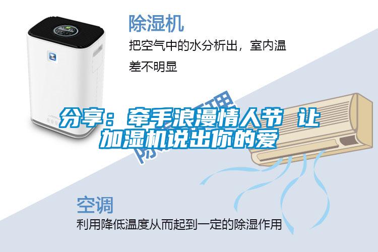 分享：牽手浪漫情人節 讓加濕機說(shuō)出你的愛(ài)