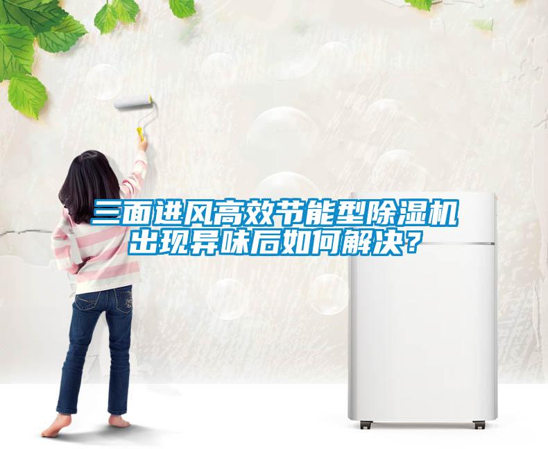 三面進(jìn)風(fēng)高效節能型除濕機出現異味后如何解決？