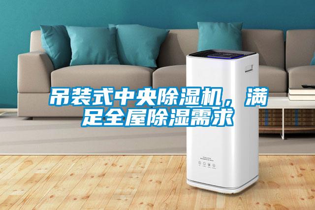 吊裝式中央除濕機，滿(mǎn)足全屋除濕需求