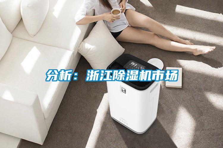 分析：浙江除濕機市場(chǎng)