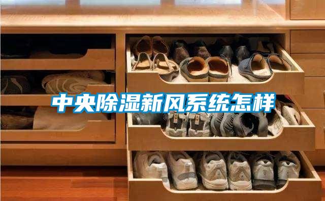 中央除濕新風(fēng)系統怎樣