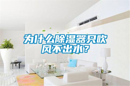 為什么除濕器只吹風(fēng)不出水？