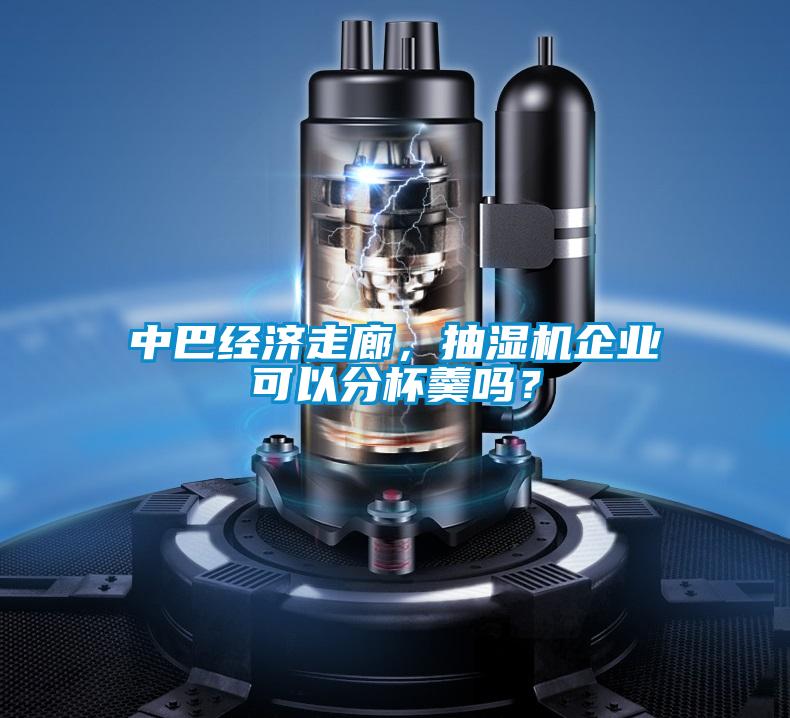 中巴經(jīng)濟走廊，抽濕機企業(yè)可以分杯羹嗎？