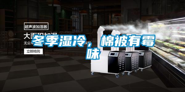 冬季濕冷，棉被有霉味