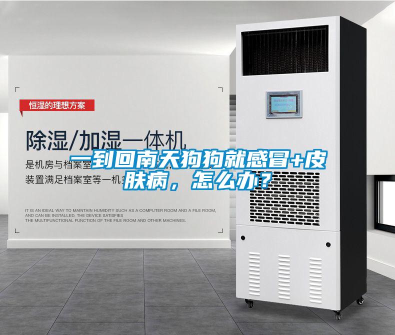 一到回南天狗狗就感冒+皮膚病，怎么辦？