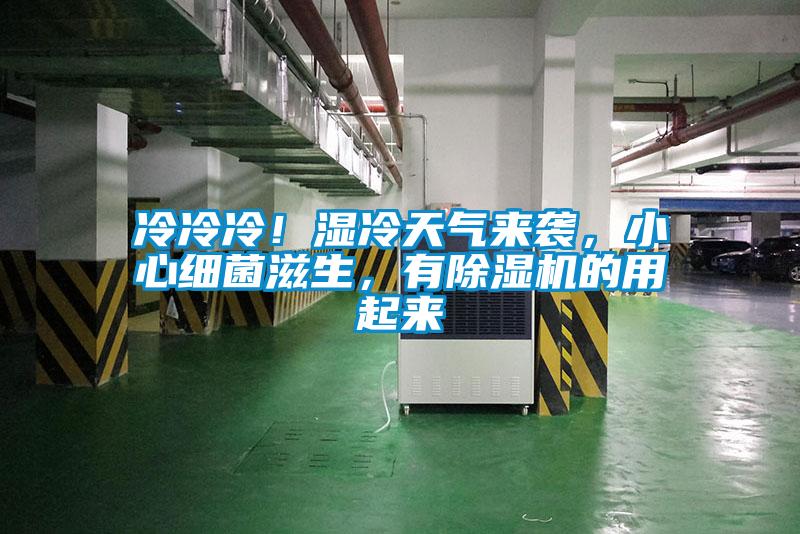 冷冷冷！濕冷天氣來(lái)襲，小心細菌滋生，有除濕機的用起來(lái)