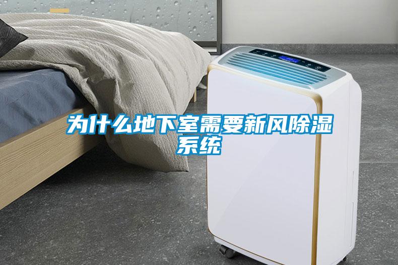 為什么地下室需要新風(fēng)除濕系統