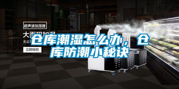倉庫潮濕怎么辦，倉庫防潮小秘訣