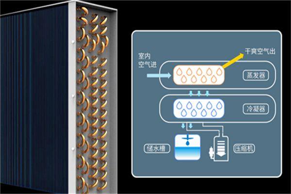 別墅為什么必須要考慮新風(fēng)除濕？