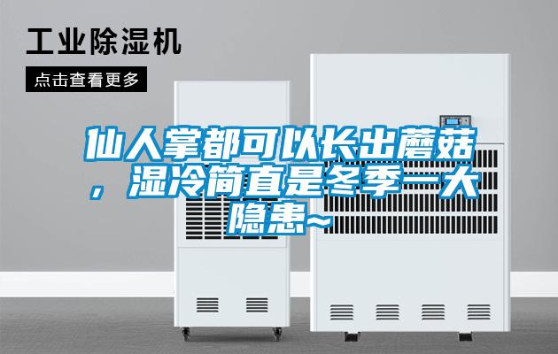 仙人掌都可以長(cháng)出蘑菇，濕冷簡(jiǎn)直是冬季一大隱患~