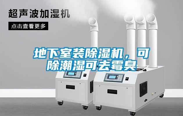 地下室裝除濕機，可除潮濕可去霉臭