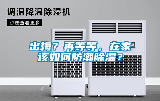 出梅？再等等，在家該如何防潮除濕？