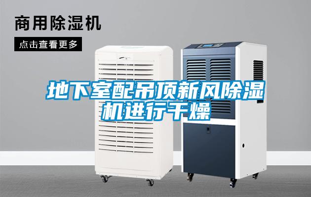 地下室配吊頂新風(fēng)除濕機進(jìn)行干燥