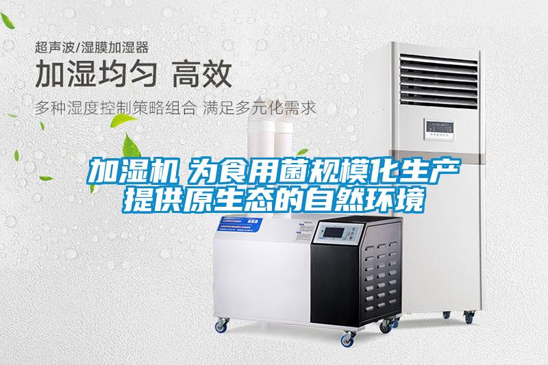 加濕機　為食用菌規?；a(chǎn)提供原生態(tài)的自然環(huán)境