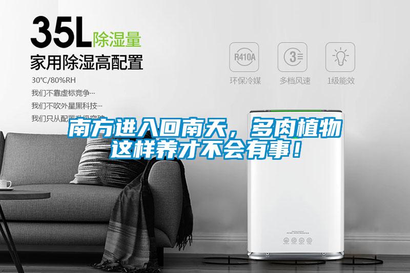 南方進(jìn)入回南天，多肉植物這樣養才不會(huì )有事！