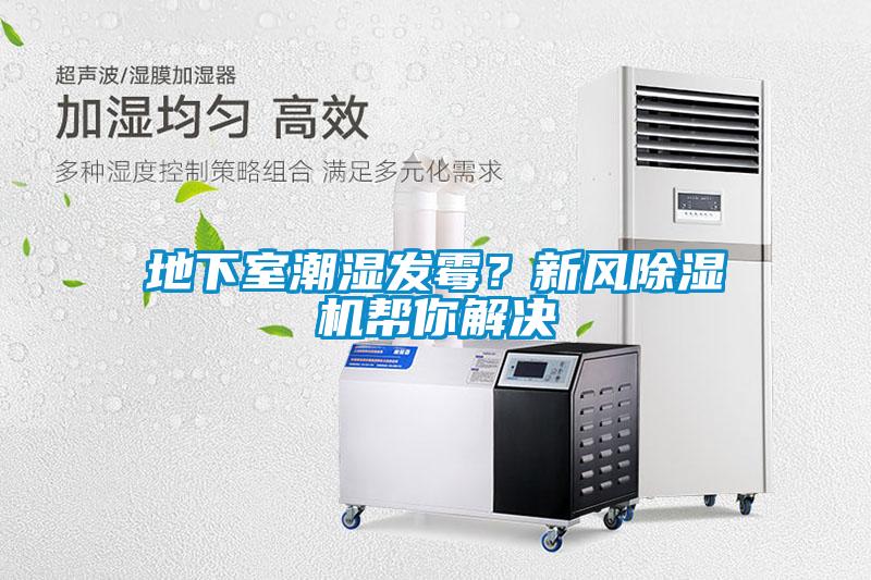 地下室潮濕發(fā)霉？新風(fēng)除濕機幫你解決