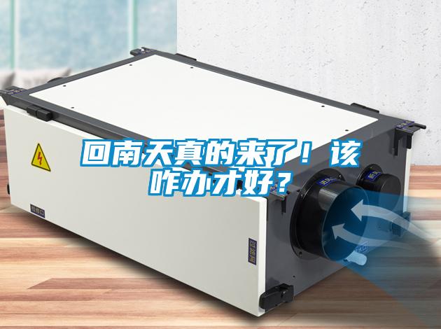 回南天真的來(lái)了！該咋辦才好？