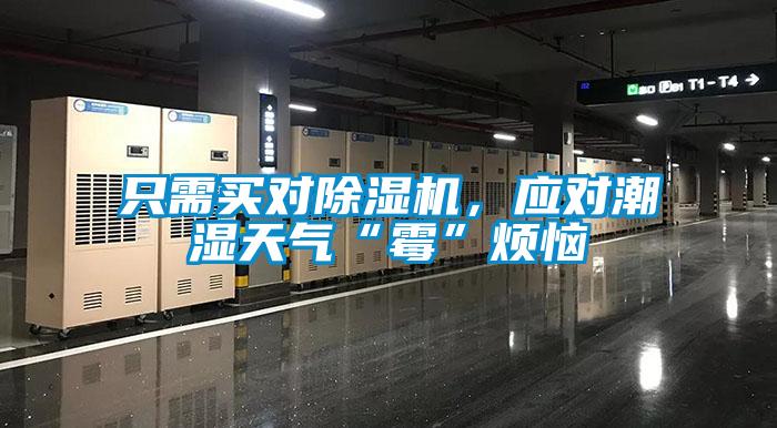 只需買(mǎi)對除濕機，應對潮濕天氣“霉”煩惱