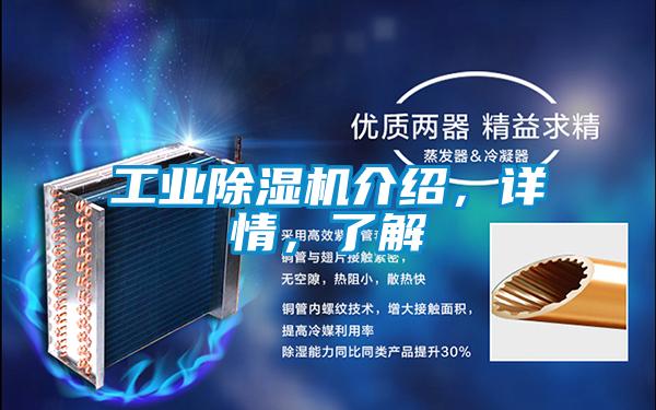 工業(yè)除濕機介紹，詳情，了解