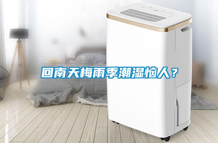 回南天梅雨季潮濕惱人？