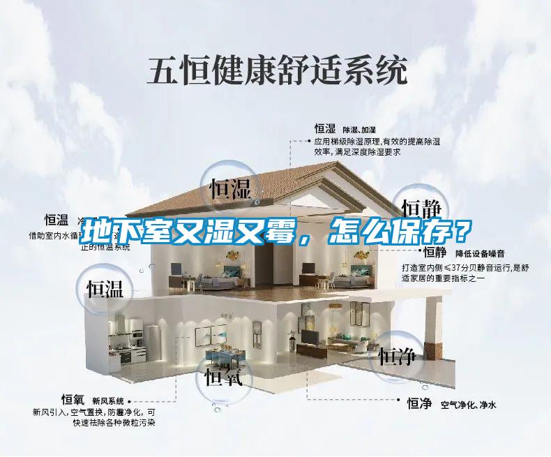 地下室又濕又霉，怎么保存？