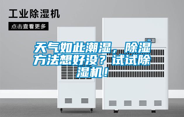 天氣如此潮濕，除濕方法想好沒(méi)？試試除濕機！