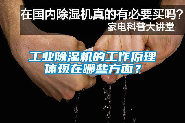 工業(yè)除濕機的工作原理體現在哪些方面？