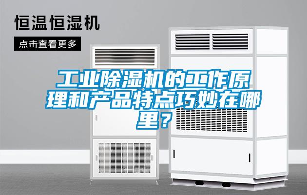 工業(yè)除濕機的工作原理和產(chǎn)品特點(diǎn)巧妙在哪里？
