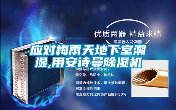 應對梅雨天地下室潮濕,用安詩(shī)曼除濕機