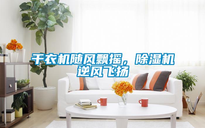 干衣機隨風(fēng)飄搖，除濕機逆風(fēng)飛揚