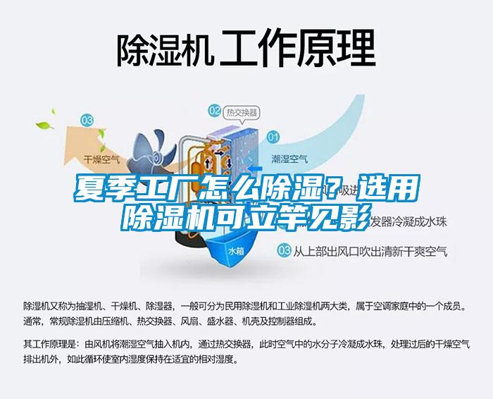 夏季工廠(chǎng)怎么除濕？選用除濕機可立竿見(jiàn)影
