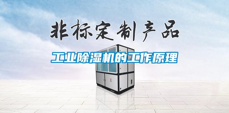 工業(yè)除濕機的工作原理