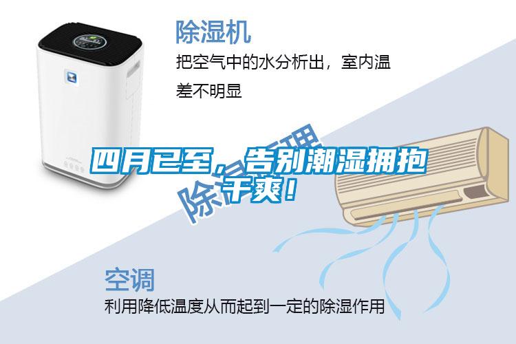 四月已至，告別潮濕擁抱干爽！