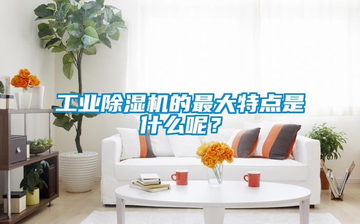 工業(yè)除濕機的最大特點(diǎn)是什么呢？