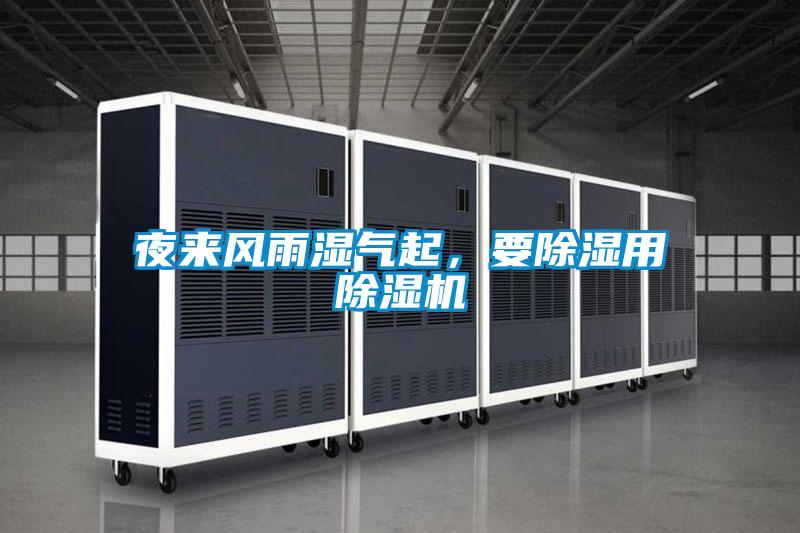 夜來(lái)風(fēng)雨濕氣起，要除濕用除濕機