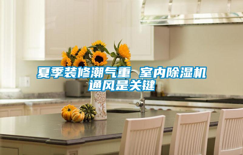 夏季裝修潮氣重 室內除濕機通風(fēng)是關(guān)鍵