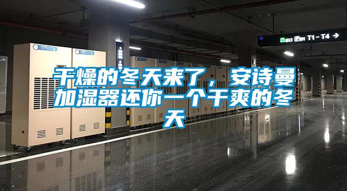 干燥的冬天來(lái)了，安詩(shī)曼加濕器還你一個(gè)干爽的冬天